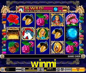 VIP Casino winmi